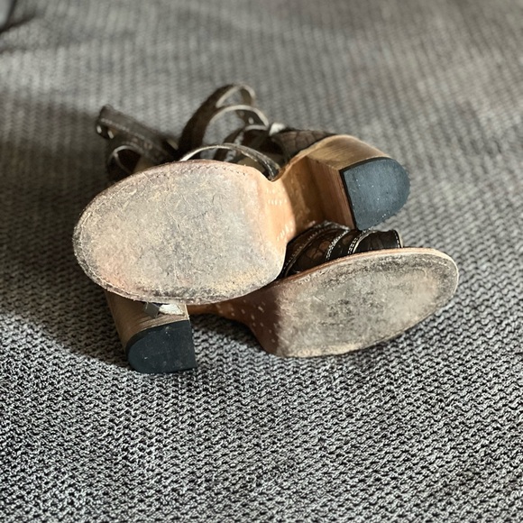 Freebird by Stephan Brooklyn - Picture 5 of 9